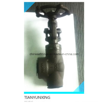 800lbs Forged Carbon Steel Right Angle Globe Valve